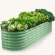 galvanized steel raised garden bed with plants and vegetables