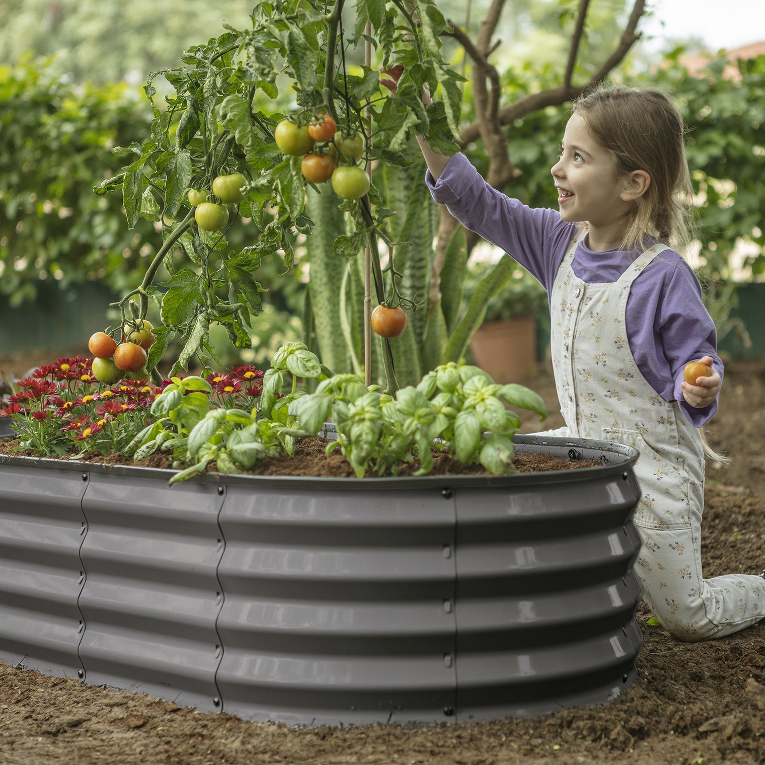 galvanized raised garden bed 4x2x1