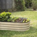 planter boxes outdoor on grass with plants