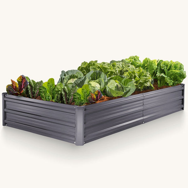 garden beds for outdoor with plants