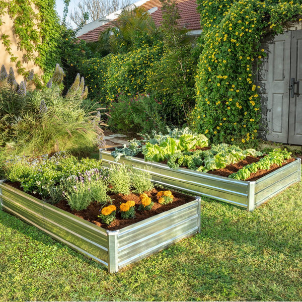 raised beds for gardening with plants on the ground