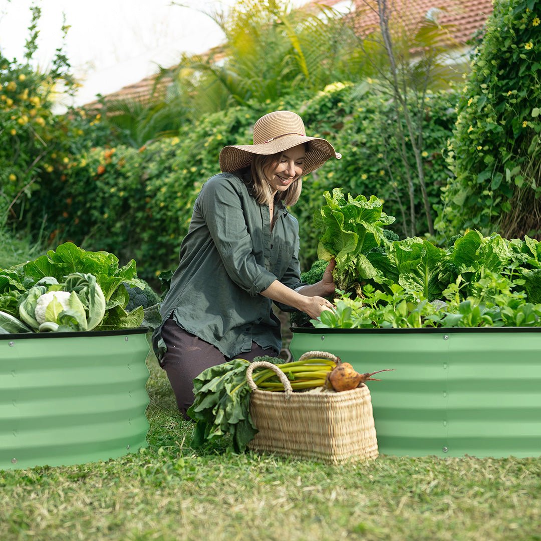 woman planting next to a raised garden bed