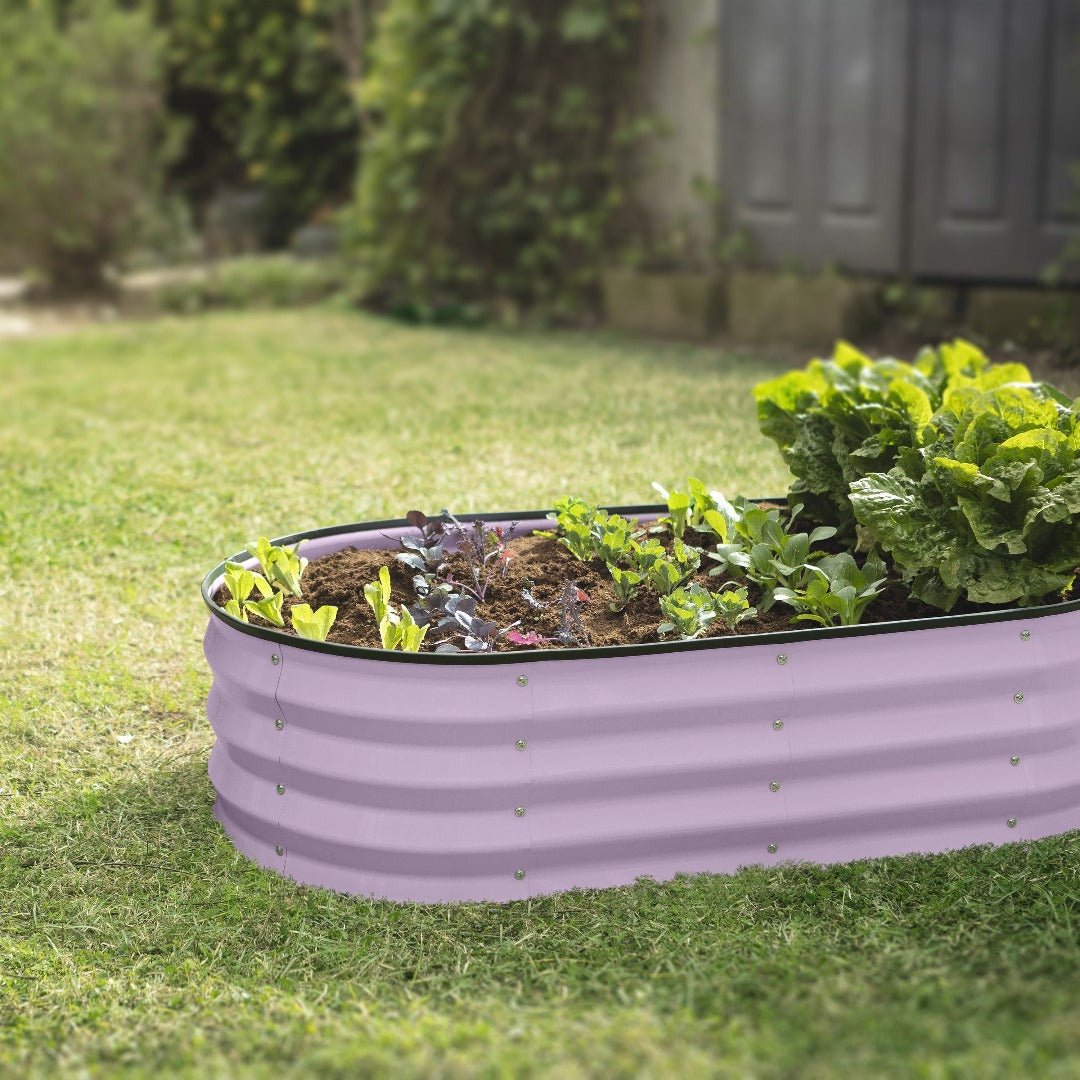 4x2x1 ft Lavender Raised Garden Bed – Plant & Plot