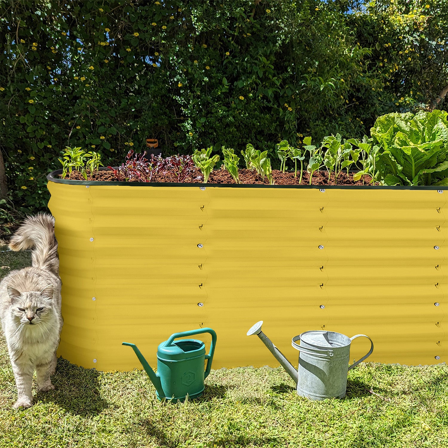 6x2x2 ft Yellow Oval Raised Garden Bed