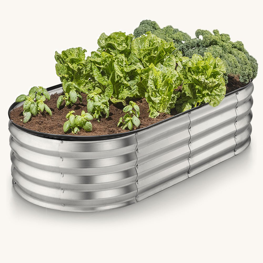 4x2x1 ft Silver Oval Raised Garden Bed – Plant & Plot