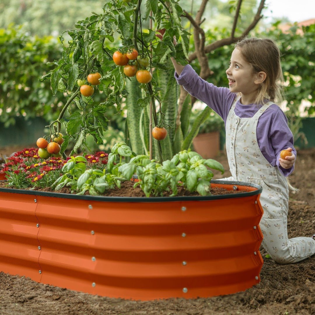 garden boxes outdoor raised