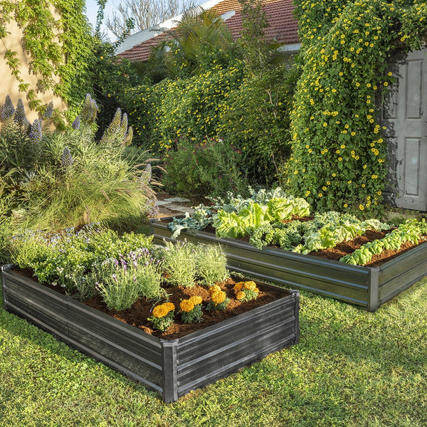 metal garden bed with plants and flowers