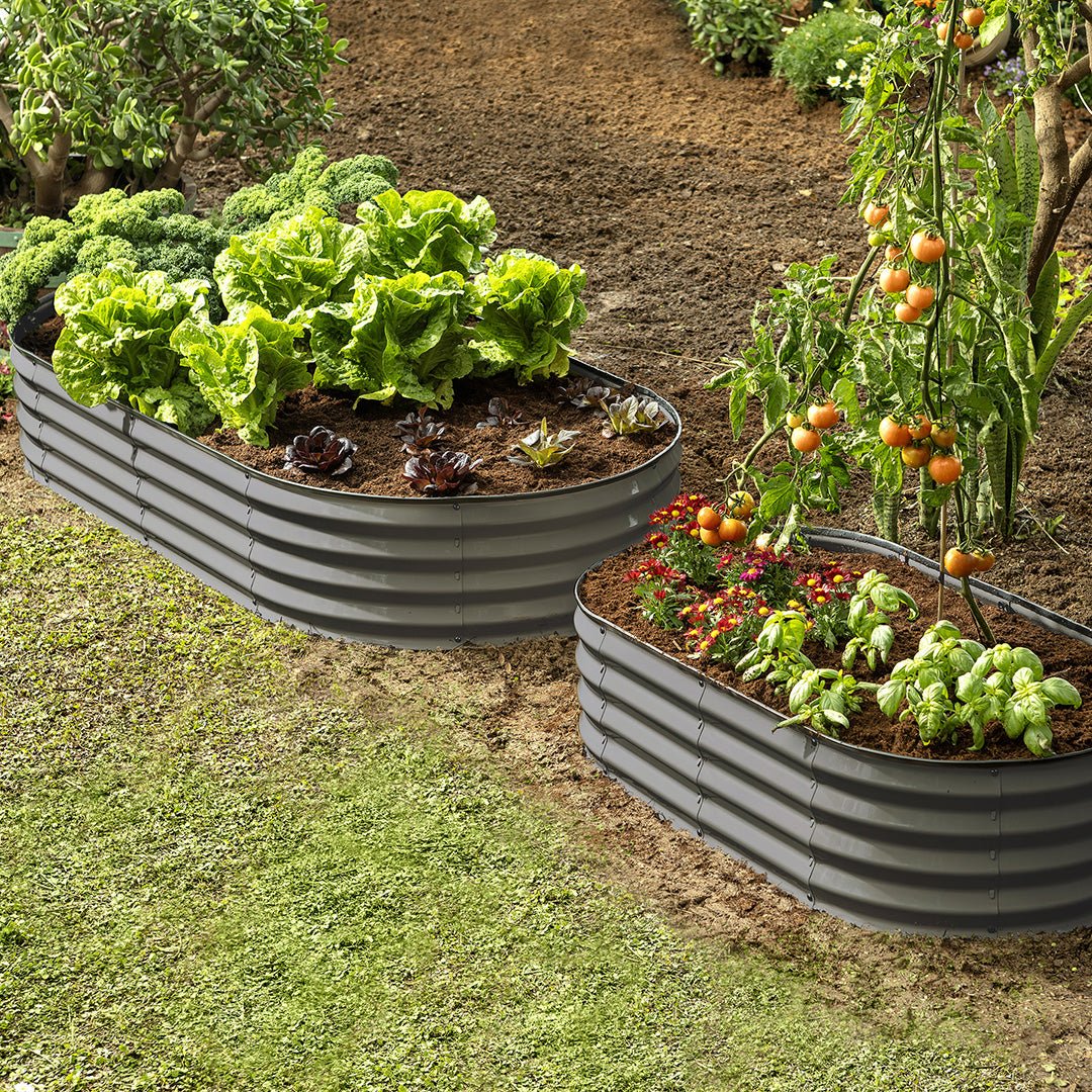 elevated garden bed with vegetables growing inside