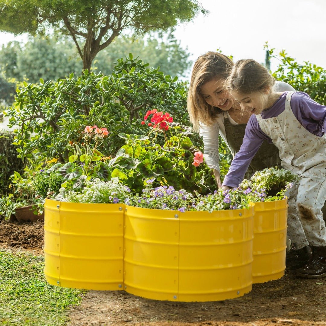 raised beds for gardening vegetables