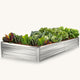 rectangle planter box for outdoor with plants