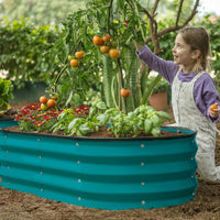 plant pot with tomato plants