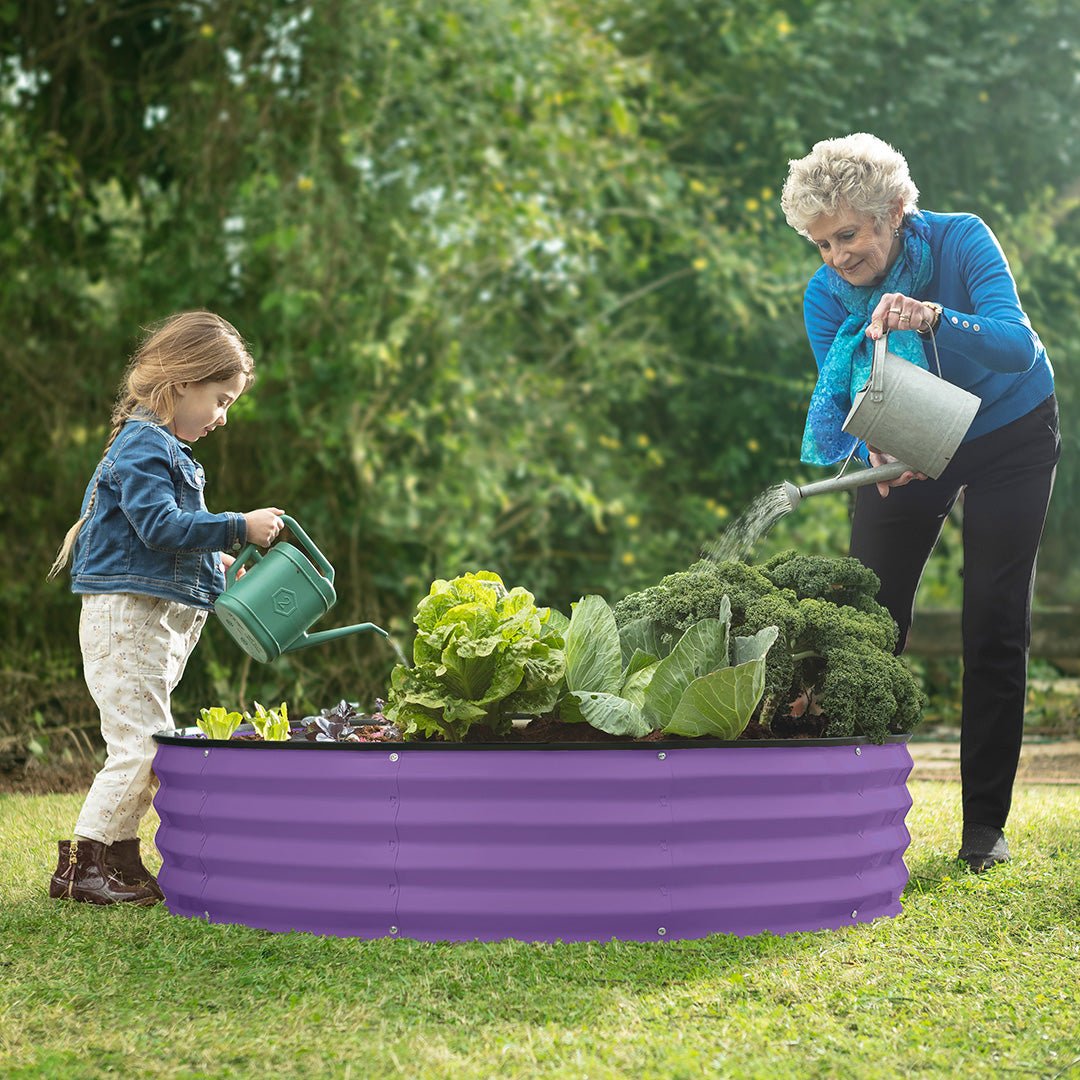 raised garden beds outdoor