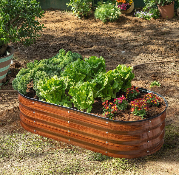 raised beds for gardening with plants an flowers