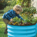 metal raised beds for gardening