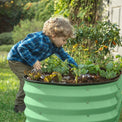 garden beds outdoor