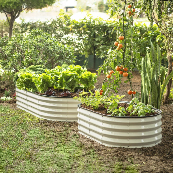 plant pots with flowers and vegetables