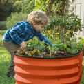 raised garden beds outdoor