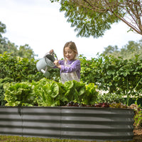 plant pots for gardening