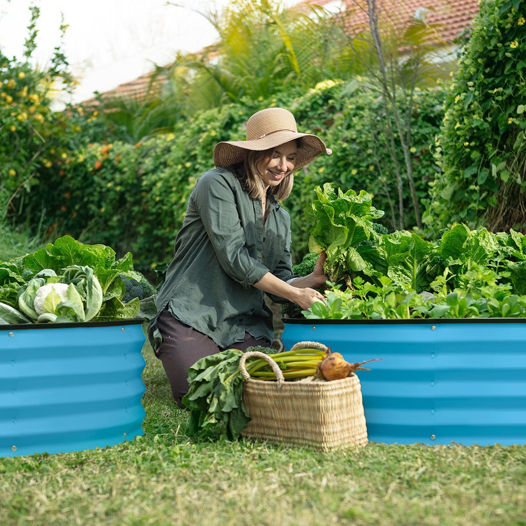 blue garden boxes outdoor raised