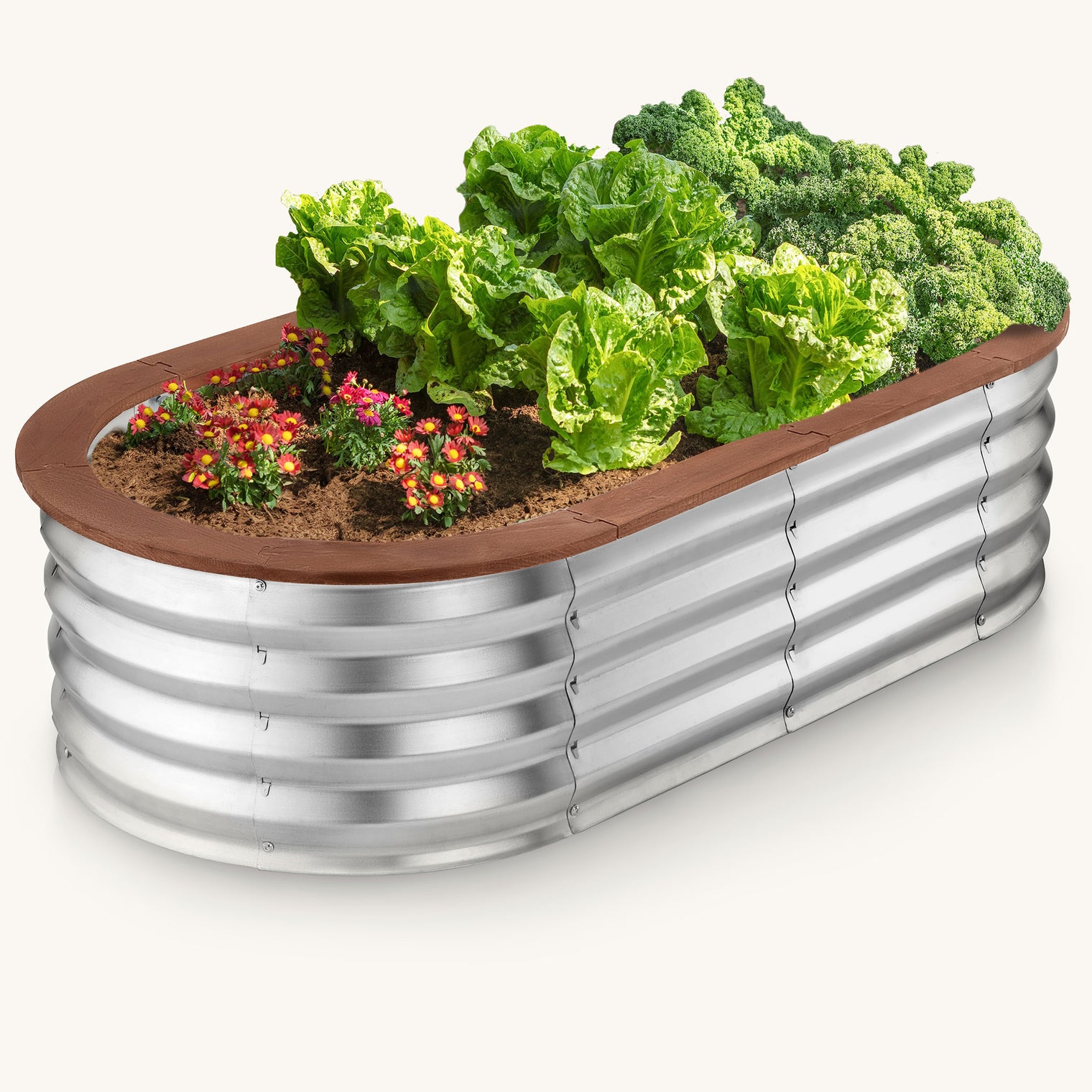 planters for outdoor plants