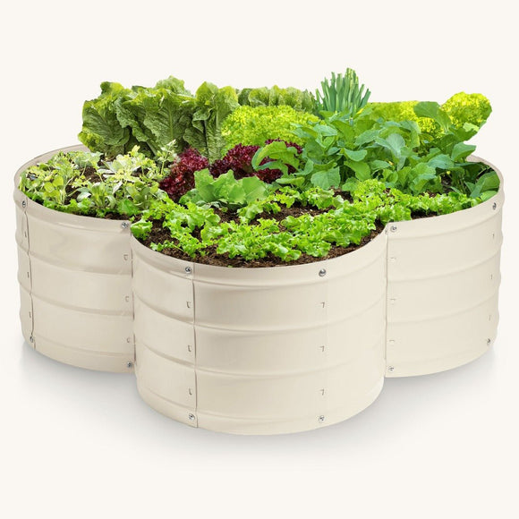 outdoor planter with plants inside
