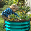 garden boxes outdoor raised