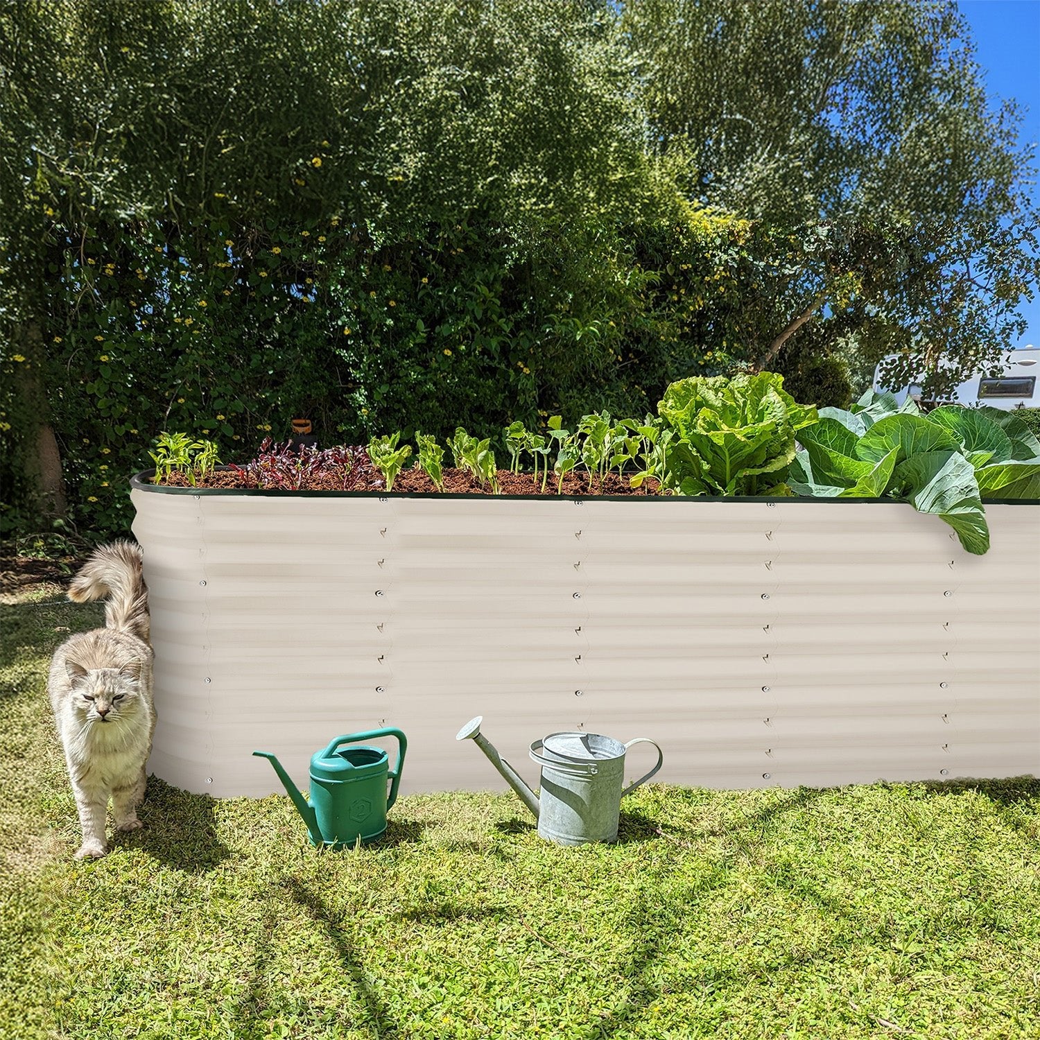 8x2x2 White Oval Raised Garden Bed