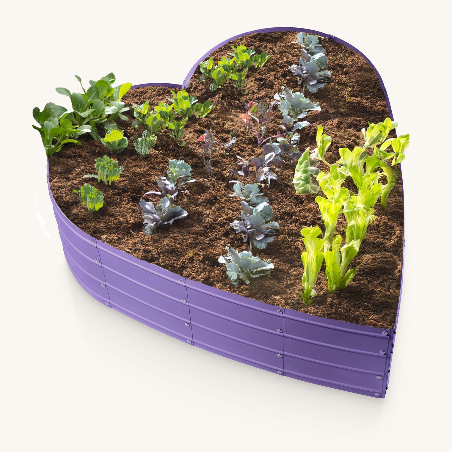 3x3x1 ft Purple Heart Shaped Raised Garden Bed (Copy)