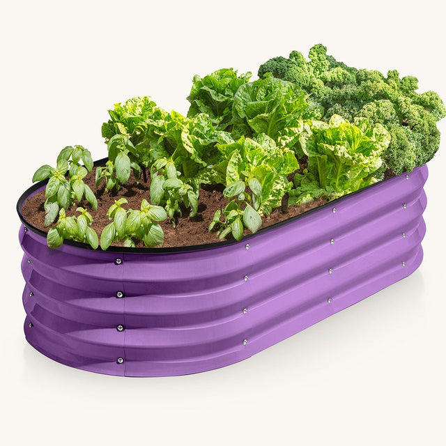 4x2x1 ft purple raised garden bed