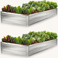 raised garden beds with plants