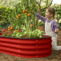 raised beds for gardening vegetables