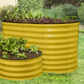 yellow raised garden bed