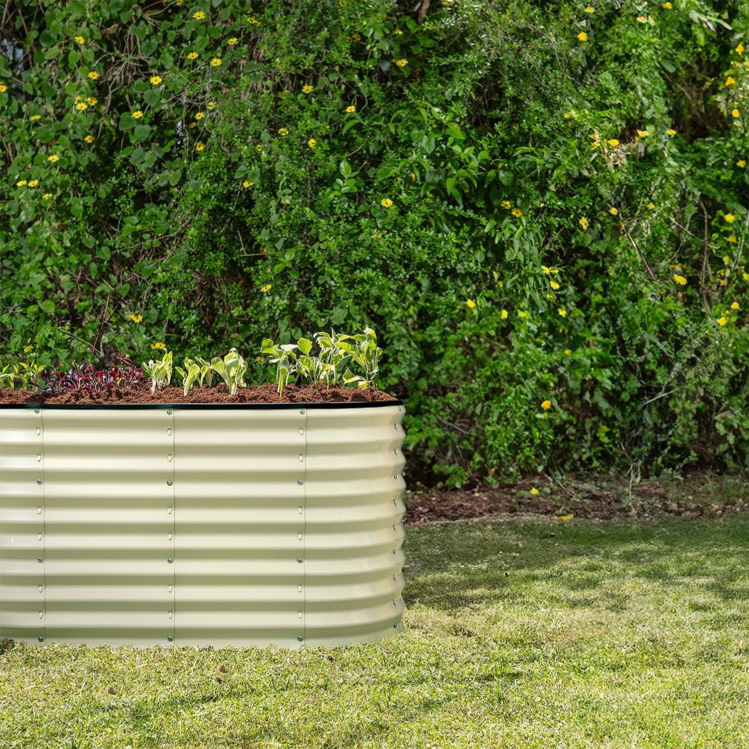 8x2x2 White Oval Raised Garden Bed