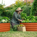 woman planting planters for outdoor plants