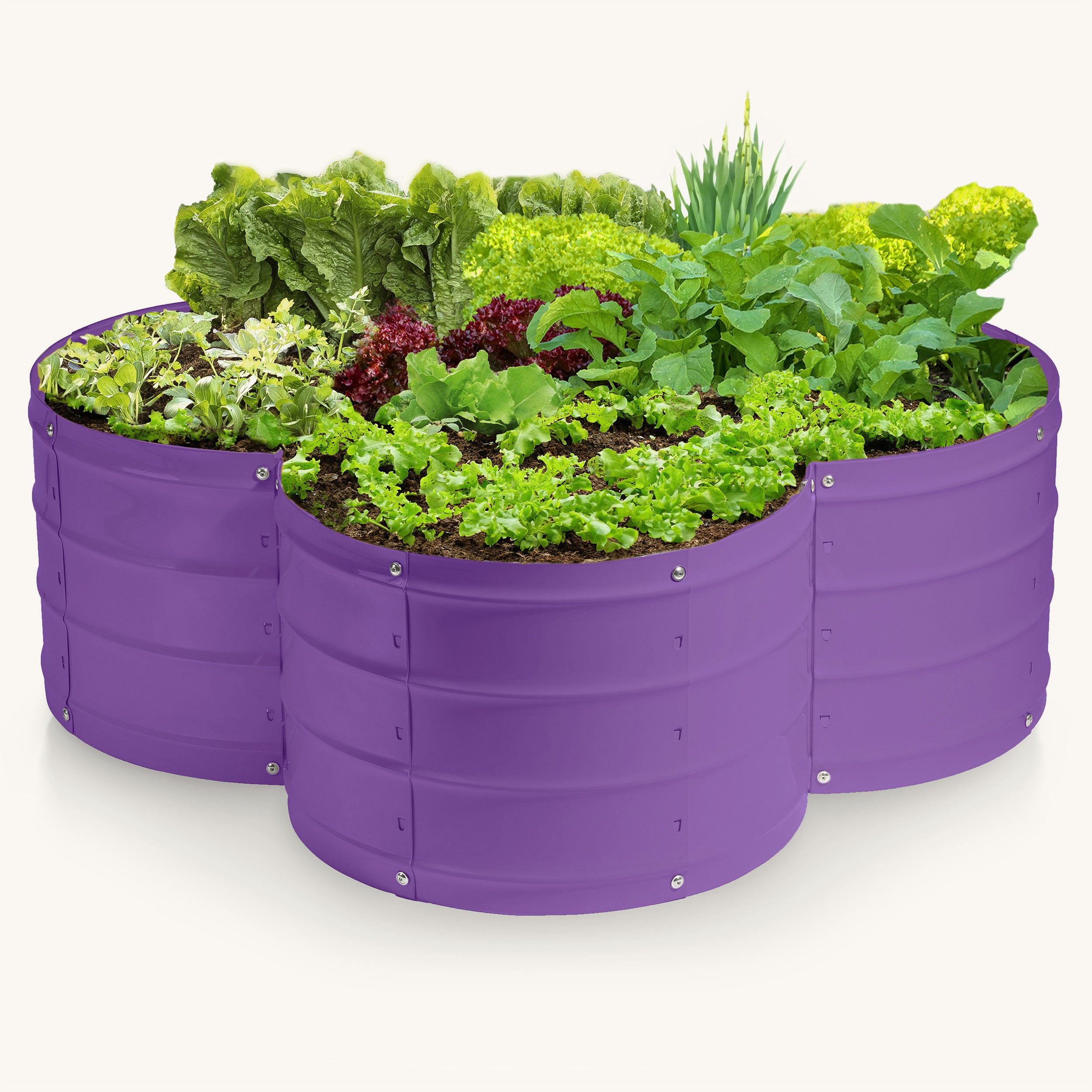 3x3x1 ft Purple Flower Shaped Raised Garden Bed – Plant & Plot