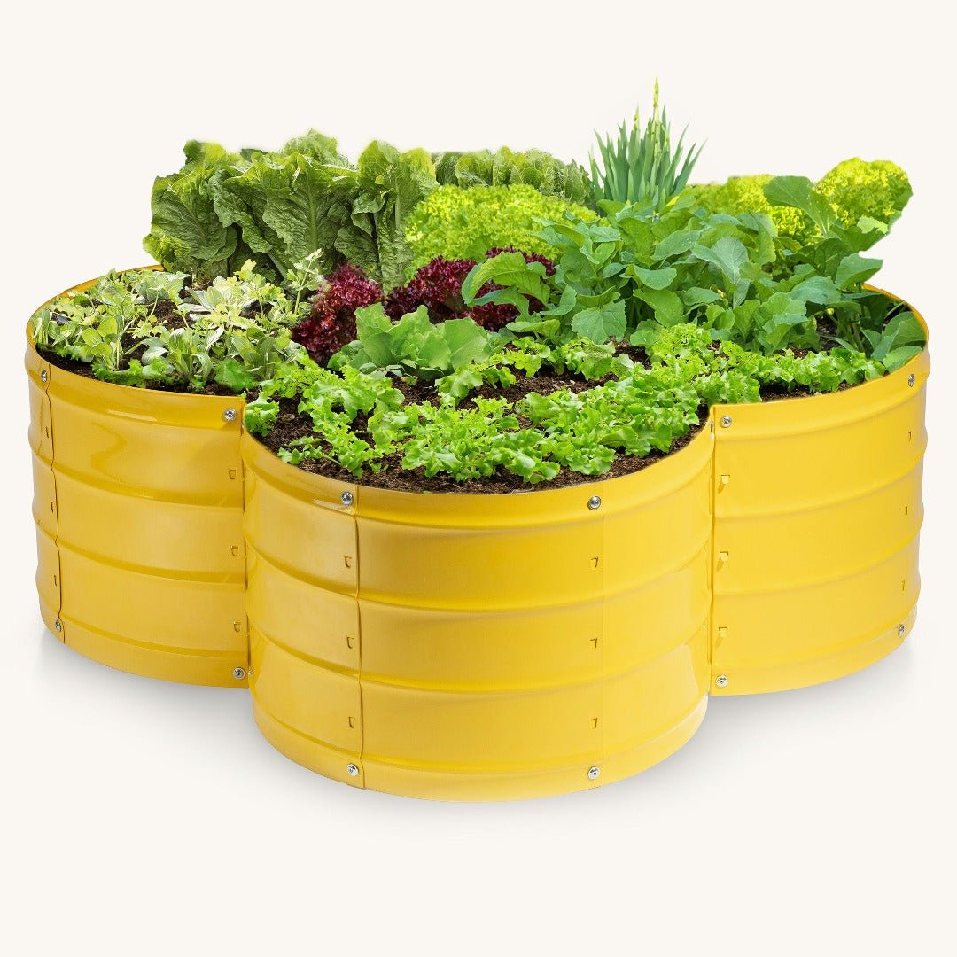 3x3x1 ft Yellow Flower Shaped Raised Garden Bed – Plant & Plot