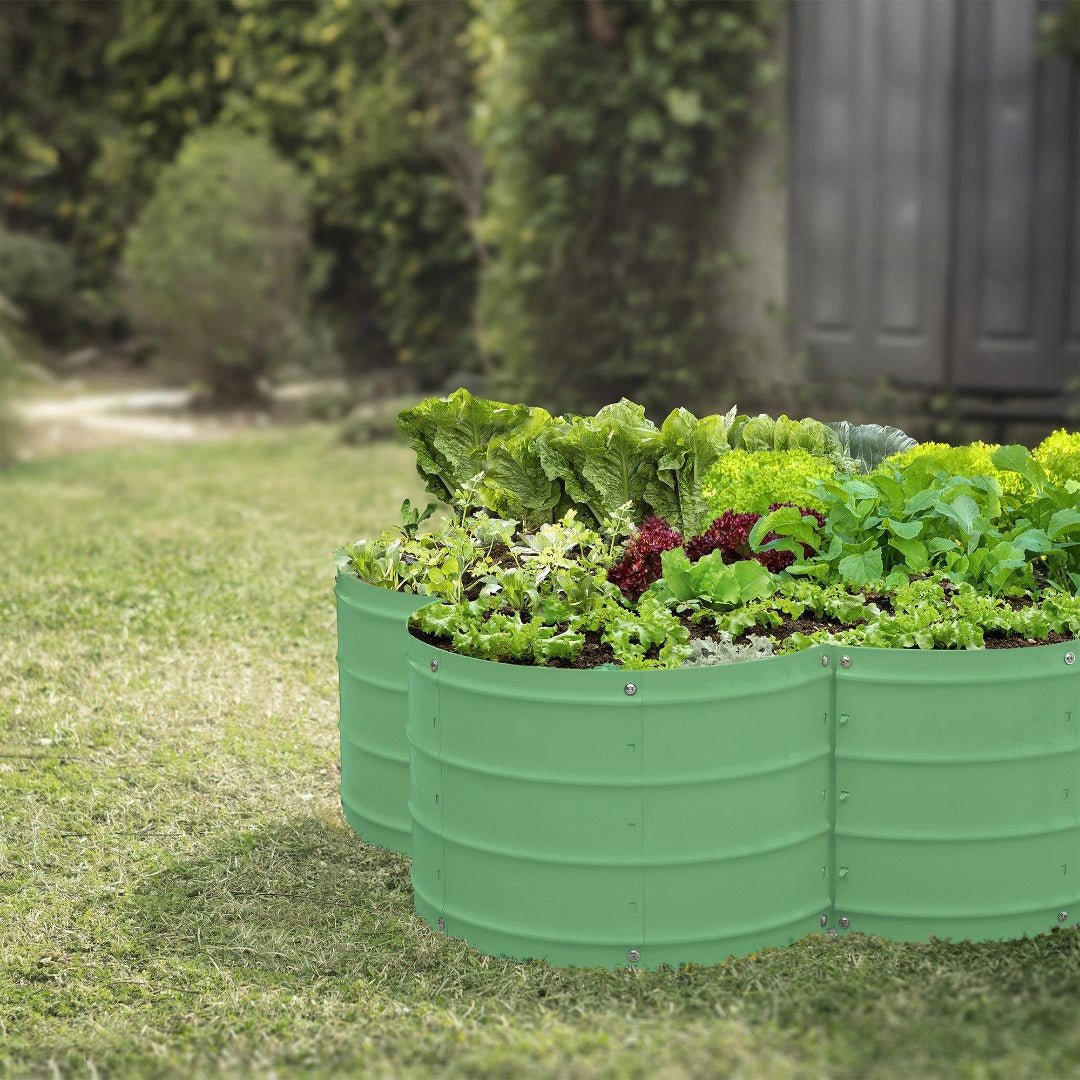 raised beds for gardening vegetables