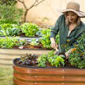 gardening with  planter boxes outdoor garden