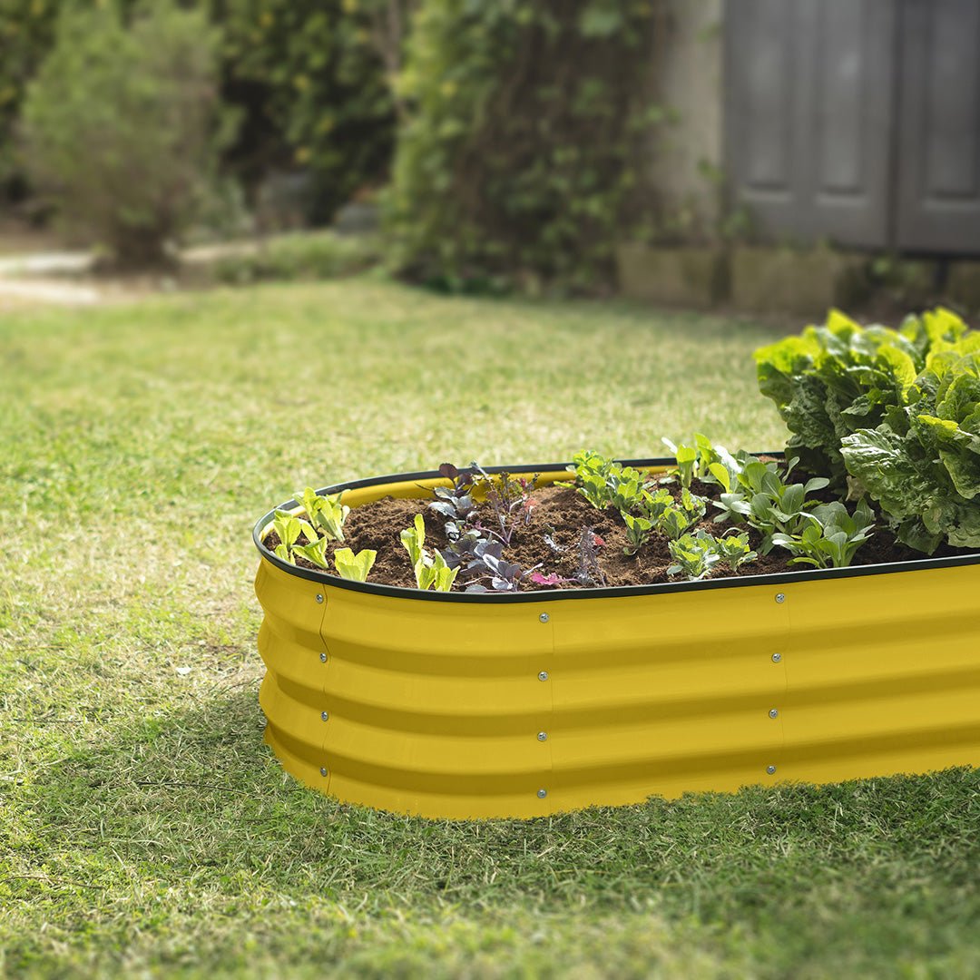 galvanized raised garden bed with plants