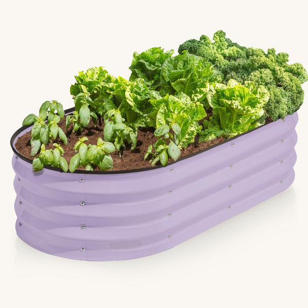 4x2x1 ft Lavender Raised Garden Bed – Plant & Plot