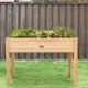 raised garden bed with legs with plants