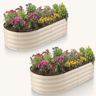 Plant & Plot