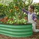 metal garden bed with a child picking tomatoes