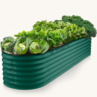 planters for outdoor plants with plants