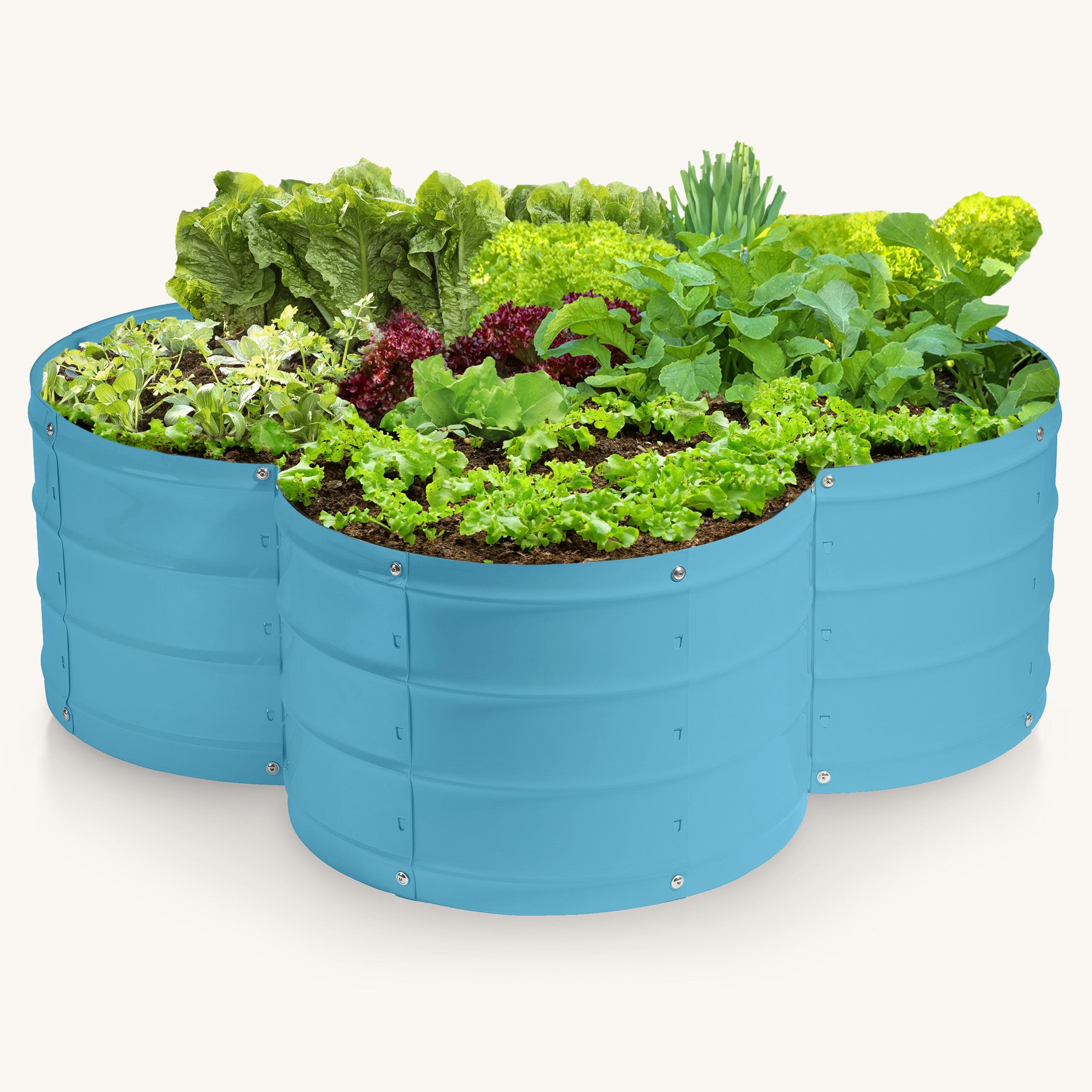 3x3x1 ft Teal Flower Shaped Raised Garden Bed – Plant & Plot