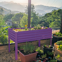 Raised Garden Beds with Legs in Purple