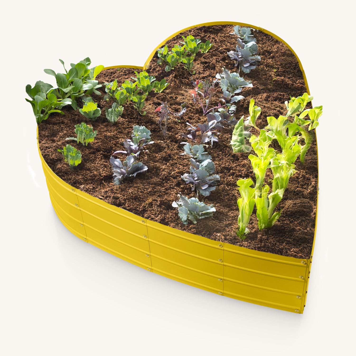 3x3x1 ft Yellow Heart Shaped Raised Garden Bed – Plant & Plot
