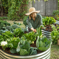 large Metal Garden Box Planter Raised Beds for Gardening