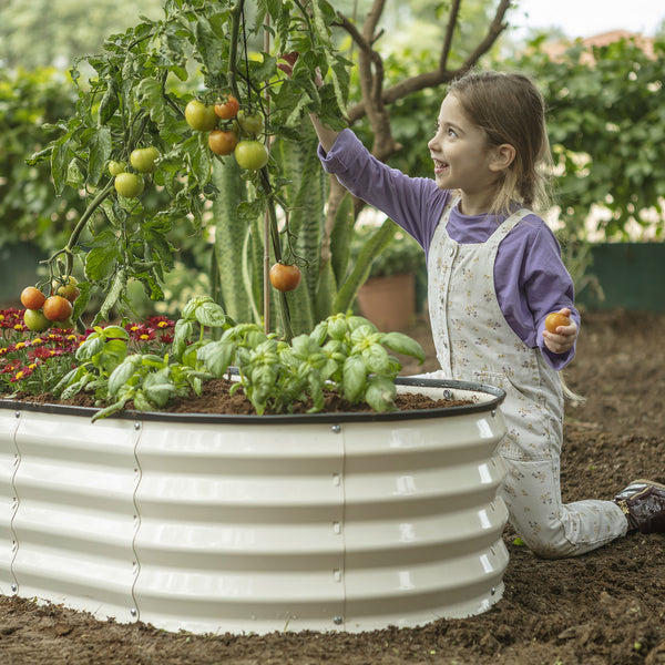 colored raised bed